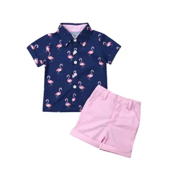 Otroška Oblačila Otroci Baby Boy Formalno Obleko Flamingov Majica+Hlače Hlače 2pcs Poletne Obleke Oblačila