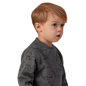 SAILEROAD Baby Boy Sweatershirt Dinozaver Hoodie Oblačila Fantje Darilo Fant Kostum Sportwear Otrok Fantje Toplo Majico Fant Fant 118077