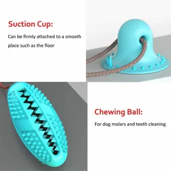 2020 Nove Igrače za Hišne živali Sesalni Pes Pritisni in Igrače TPR Žogo Pet Zob Čiščenje Žvečilni IQ Zdravljenje Igrače za Pse Majhne Pse Gume Self-igranje