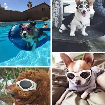 5 Barv Lepe Pet Dog Sunglass, Sončna Očala Hišnih Mačk Očala Oči Nositi Kuža, Zaščito Za Oči, Hišne Živali, Dodatki Za Nego