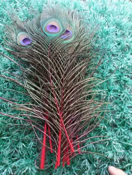 Debelo 50pcs/veliko 25~30 cm obarvana in vijolično Naravnih Pav Perje za prodajo okrasna peresa