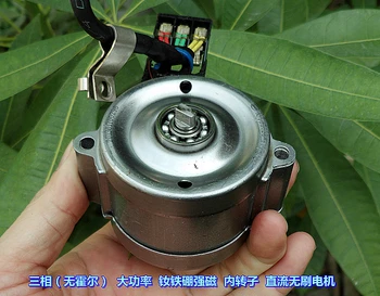 BYD 12-24V močan magnetni moment, trifazni brushless motor notranji rotor, brushless DC motor