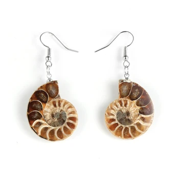 Ženske Naravnega Kamna Ammonite Fosili Ocean Reliquiae Dengled Uhani Seashell Conch Polž Živali, Viseče Uhane Nakit Darila 187043