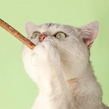 8 Kos/vrečko Mačka Čiščenje Zob Naravna Catnip Molarno zobna pasta Žvečiti Palico Chiscat Actinidia Polygama Trte Igrača
