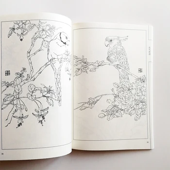 94Pages Cvetje in Ptice Slikarstvo Zbirka Art Book Kolorit Knjigo za Odrasle Sprostitev in Anti-Stres Slikarstvo Knjiga