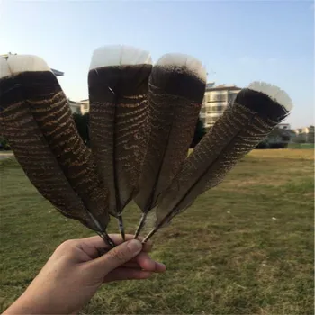 10 Kosov visoko kakovost naravnega Orel ptičje perje 25-30 cm/10-12 Izbranih Prime Kakovosti Orel perje diy nakit dekoracijo 76156