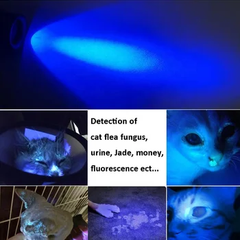 TMWT Prenosni Ultra Vijolice Ultravijolično Lanterna uv luč 5W 18650 Battrry močna uv led 365nm Svetilko, Baklo za Hišne urina 81441