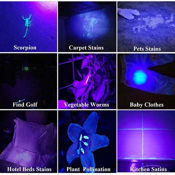 100W UV Svetilko 100 Led 395nm UV LED Svetilko Nazaj Detektor Svetlobe za Psa, Mačka Urina, Pet Madežev, Stenice, Škorpijoni 6 x AA