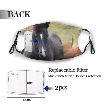 Zaščitne maske s filtrom Konja proti prahu PM2.5 ponovno uporabo odraslih najstniških otrok dekle