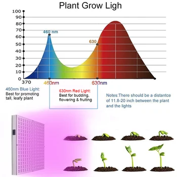 LED Grow Light Celoten Spekter 1000W Sobne Rastline Rastejo Šotor Luči Za Rastlina Raste Lučka Ffs Fito Lučka za Sejanje Cvetje Rast