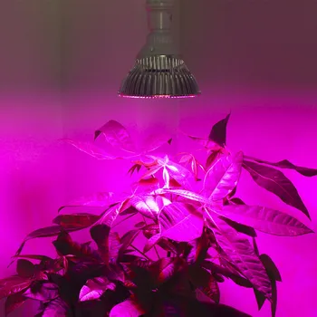 1pcs Rastejo Led Celoten Spekter 18W 30W 50 W 80W E27 LED Vrtnarstva Rastejo Luči za Vrt Rasti, Cvetenja Hydroponics Sistem