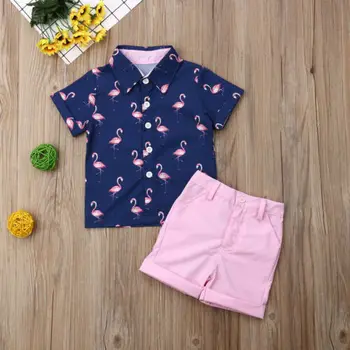 Otroška Oblačila Otroci Baby Boy Formalno Obleko Flamingov Majica+Hlače Hlače 2pcs Poletne Obleke Oblačila