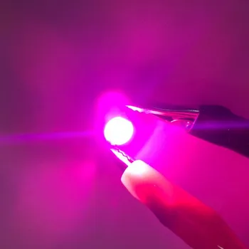 LED rastlin gorwth čipi visoke moči kroglice 3W 1 W 5W polno specturm Roza svetlobe LED sijalka 400-840nm 50pcs brezplačna dostava