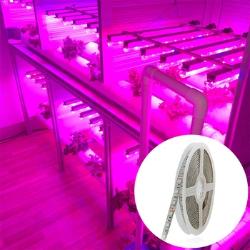 LED Grow Light Celoten Spekter LED Trak Svetlobe, 5M 5050 LED Notranji Rastlin Fito Rast Lučka Za emisije Toplogrednih Hydroponic Cvet Raste