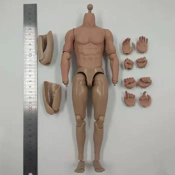 S005 1 / 6 lestvici človek fant vojaške prsih mišice človeškega telesa model podoben TTM19 Wolverine 12 