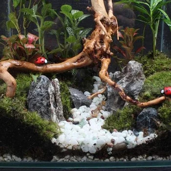 Akvarij Driftwood Naravnega Lesa Plazilcev Veje Fish Tank Drevo Rastlin Štor Ornament Dekor 4 KOS