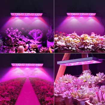 Raste Svetilke LED Grow Light 25 W 220V 110V Celoten Spekter Rastlin Osvetlitev IR UV Rastline, Cvetje, Sadik Gojenje