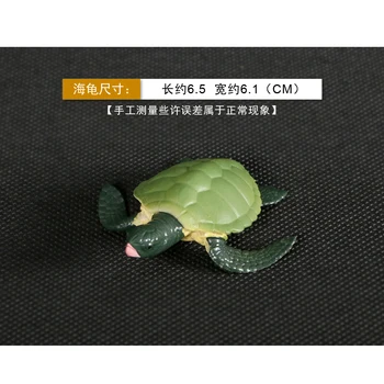 Simulacija figuric Živali Evolucija Modelov Morske želve Želva Življenjskega Cikla plastični Model Živali Ciklus Rasti za Igrače Za Otroke