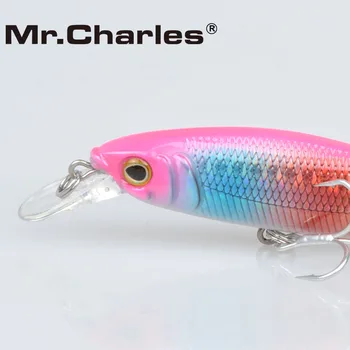 G. Charles CMC020 Fishing Lure 85mm/9 g 0-0.8 m Plavajoče Super Potopu Pisanec Ročice Težko Vabe Vroče Model, Ročice Vabe 3D Oči