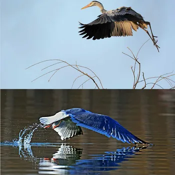Aluminij Iskalo Gori Pogled Obsega nastavek nastavek za Canon za Nikon DSLR Fotoaparat Ptic in prosto živečih živali, Fotografije Fotografije