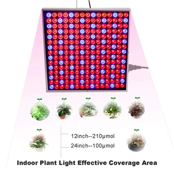 LED Grow Light Celoten Spekter 1000W Sobne Rastline Rastejo Šotor Luči Za Rastlina Raste Lučka Ffs Fito Lučka za Sejanje Cvetje Rast