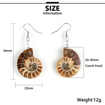 Ženske Naravnega Kamna Ammonite Fosili Ocean Reliquiae Dengled Uhani Seashell Conch Polž Živali, Viseče Uhane Nakit Darila