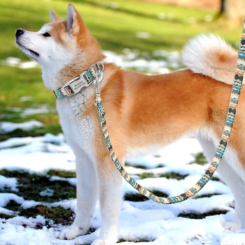 7 Barv Najlon Pes Povodec Vodi Natisnjeni Hišnih Kuža Chihuahua Hoja Vrvici Teče Usposabljanje Pasje Vrv Za Majhne, Srednje Pse Pug