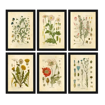 Vintage Botanični Natisne Wildflower Platno, Slikarsko, Plakati, Tiskanje francoski Rastlin Ilustracije Wall Art Slike za dnevno Sobo