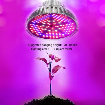 100W LED Grow Svetilka Celoten Spekter Rastlin Raste Luč Za Cvetoče Sobne Rastline rastejo šotor zaprtih hydroponic Cvetenja rastejo svetilke