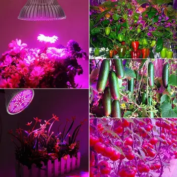 Led Notranji Hydroponic Growbox Namenske Rastejo Žarnice Celoten Spekter za Sobne Rastline E27 za vrtnarjenje in kalivost Semena