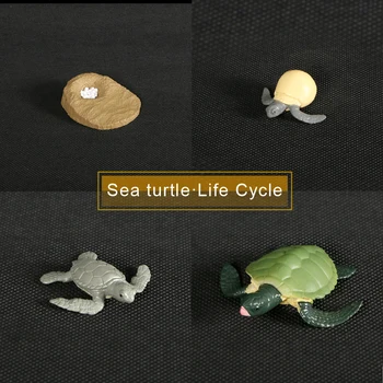 Simulacija figuric Živali Evolucija Modelov Morske želve Želva Življenjskega Cikla plastični Model Živali Ciklus Rasti za Igrače Za Otroke