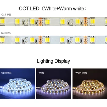 SCT LED Trak Nastavite Nepremočljiva / Ne Nepremočljiva SMD 5050 60Leds/m Lučka Led Trak Trak+2.4 G/24 Tipko Daljinskega upravljalnika