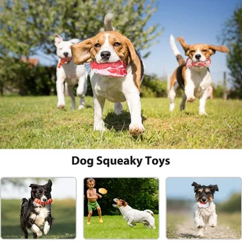 Pes Spregovorili Igrače Kuža Žvečiti 10 Pack Igrače za Pse z Večino Squeakers, Mehko Hrano Obliko Jjeza Igrača za Majhne, Srednje Pse