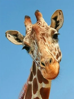 DIY Žirafa 5D Diamond Slikarstvo Celoten Krog Vaja Nosorogovo Živali Daimond Vezenje Navzkrižno Šiv Kompleti